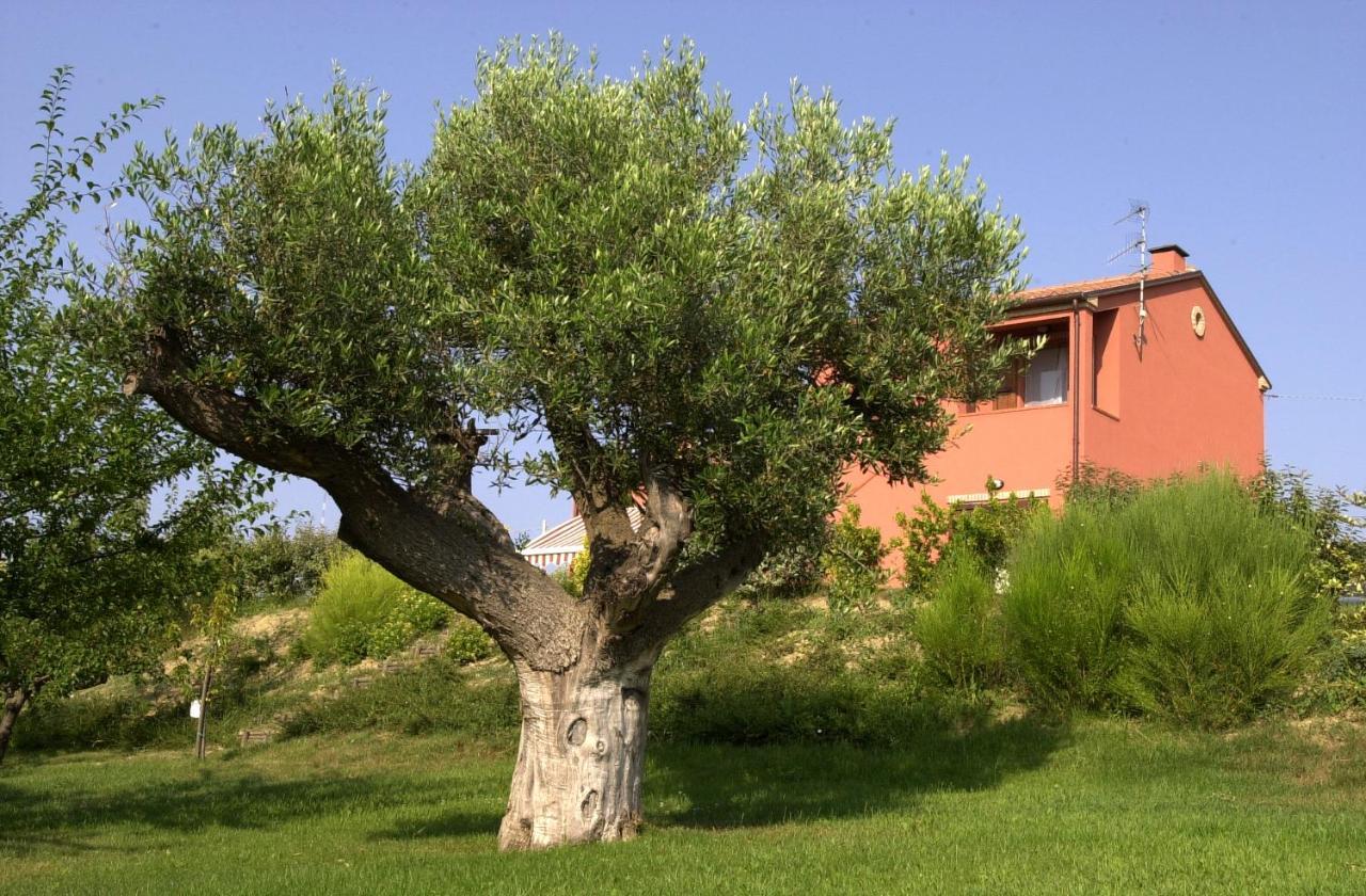 Suite con Vista Giardino
